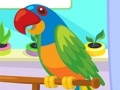 Spiel Parrot Care