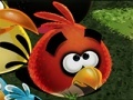 Spiel Angry Birds Save