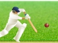 Spiel Cricket Defend the Wicket!