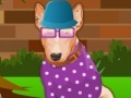 Spiel Bull Terrier Dog