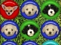 Spiel Cute puppy match