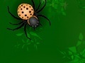 Spiel Spiders attack 