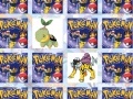 Spiel Find your cards with your favorite Pokemon