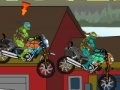 Spiel Turtles racing