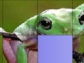 Spiel Frog Slide Puzzle