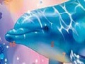 Spiel Magic dolphins hidden numbers