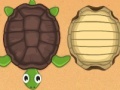 Spiel Guess the turtle