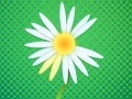 Spiel Daisy petals