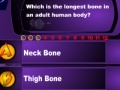 Spiel Human Body Quizz Game