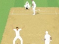 Spiel Cricket Umpire Decision