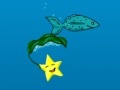 Spiel Star Fish