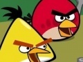 Spiel Memory - Angry Birds