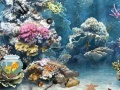 Spiel Underwater World