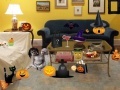 Spiel Halloween Room
