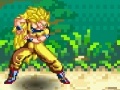 Spiel Dragon Ball. Fierce Fighting