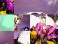 Spiel Lovely Cat Sliding
