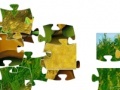 Spiel Turtle Tax Chinese