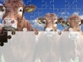 Spiel Gorgeous Cows Jigsaw