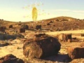 Spiel Treasure Hunt-Desert Forest