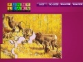 Spiel Five aries on the woods puzzle