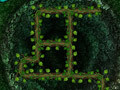 Spiel Root Your Way