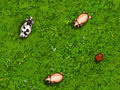 Spiel Eggsplosive