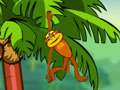 Spiel Spider Monkey