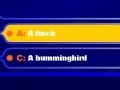 Spiel Who Wants to be a Millionaire 2