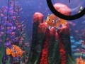 Spiel Finding Nemo hide and seek