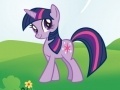 Spiel My Little Pony: Individual test