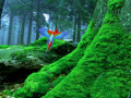 Spiel Birds Forest Escape