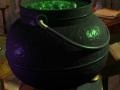 Spiel Harry Potter: Mastermind