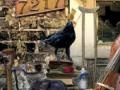 Spiel Mystery Case Files: Ravenhearst 