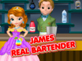 Spiel James Real Bartender