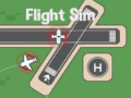 Spiel Flight Sim