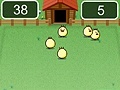 Spiel Corral chickens in a chicken coop