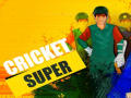 Spiel Super Cricket      