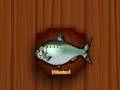 Spiel Amateur Action Super Fishing