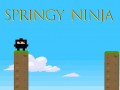 Spiel Springy Ninja