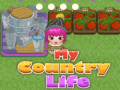 Spiel My County Life
