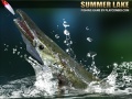 Spiel Summer Lake