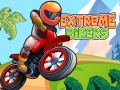 Spiel Extreme Bikers