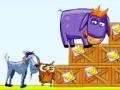 Spiel Donkey Sean