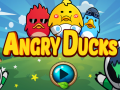 Spiel Angry Ducks