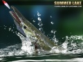 Spiel Summer Lake 1.5