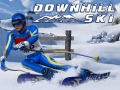 Spiel Downhill Ski