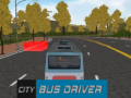 Spiel City Bus Driver  