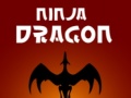 Spiel Ninja Dragon