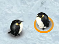 Spiel Save the egg