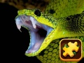 Spiel Snake Puzzle Challenge